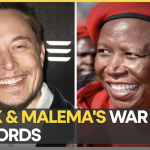 Julius Malema leader of South Africa's third-largest